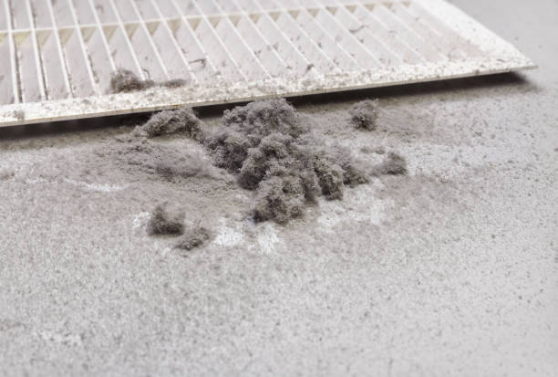 Best Ventilation Cleaning Services  in Decatur, AL